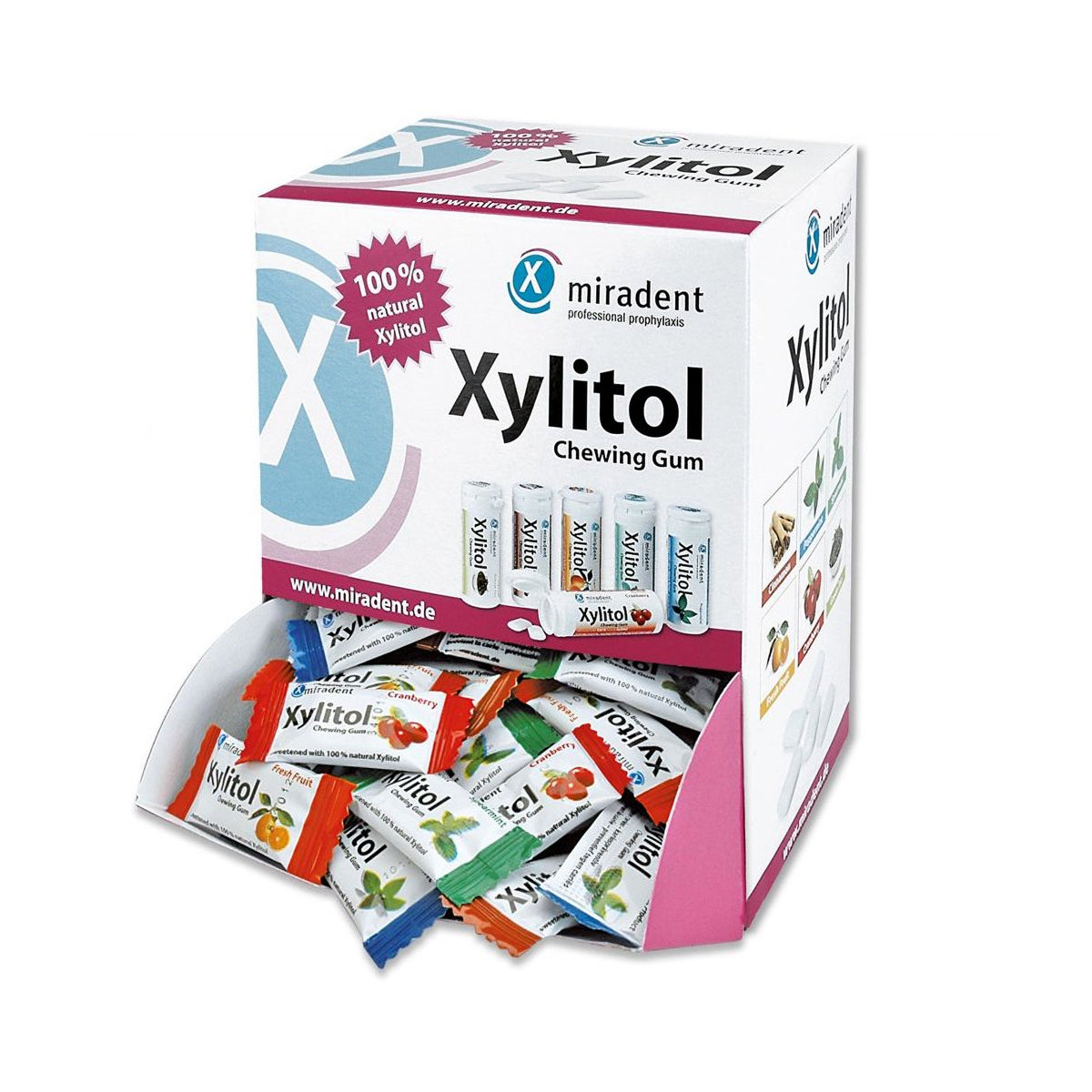 XYLITOL inv. flavored chewing gum with xylitol (200 pcs.)